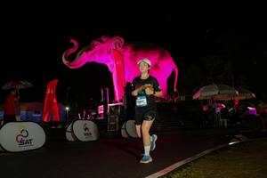 BIB: 
                            <button type="button" onclick="openModal(26543876)" class="btn btn-primary btn-sm float-right btn-popup" data-toggle="modal" data-target=".modal-high-quality">
                        <i class="fas fa-shopping-cart"></i> Add to Cart
                    </button>
                                            <button type="button" onclick="isThisMe(26543876, true)" class="btn btn-success btn-sm float-right btn-popup btn-isme hidden" data-toggle="tooltip" data-placement="bottom" title="นี่คือรูปของคุณใช่ไหม คลิกที่นี่เพื่อเอาเข้าอัลบั้ม">
                        <i class="fas fa-plus"></i> Add to album
                    </button>
                    <button type="button" onclick="isThisMe(26543876, false)" class="btn btn-warning btn-sm float-right btn-popup btn-isnotme hidden">
                        <i class="fas fa-ban"></i> Remove from album
                    </button>